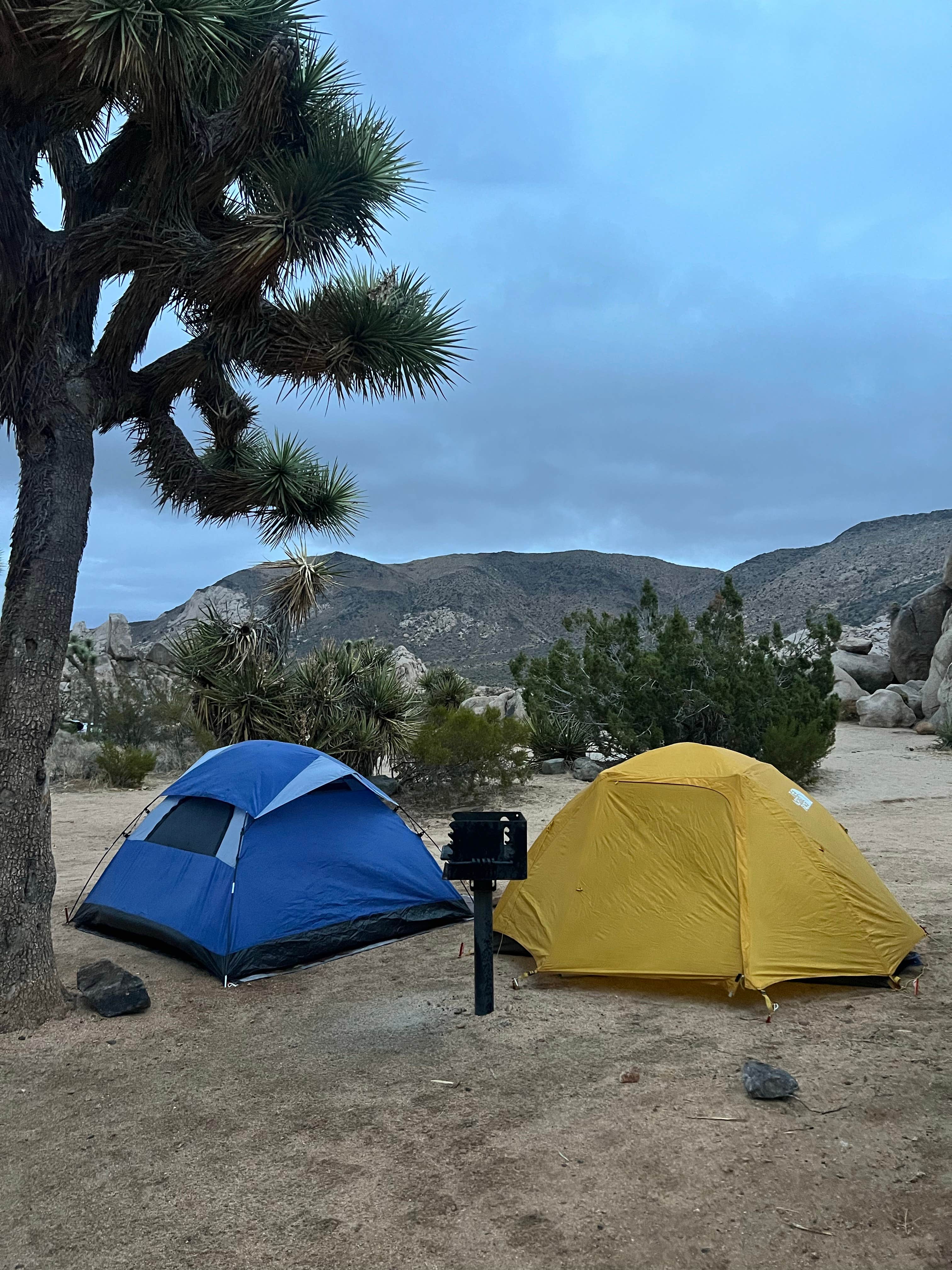 seth B.'s photo at Ryan Campground — Joshua Tree National Park near Bermuda Dunes, CA