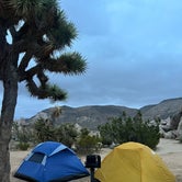 Review photo of Ryan Campground — Joshua Tree National Park by seth B., November 17, 2023