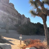 Review photo of Ryan Campground — Joshua Tree National Park by Jennifer H., January 12, 2024