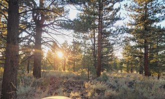 Camping near Crooked Meadows Campground: Sagehen Meadows Campground, June Lake, California