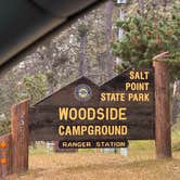 Review photo of Woodside Campground — Salt Point State Park by Syd M., June 28, 2026