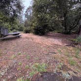 Review photo of Woodside Campground — Salt Point State Park by Syd M., June 28, 2026