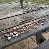 Review photo of San Clemente State Beach Campground by accalia F., February 26, 2026