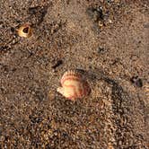 Review photo of San Clemente State Beach Campground by accalia F., February 26, 2026