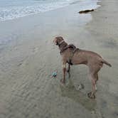 Review photo of San Elijo State Beach Campground by Julie F., May 15, 2026