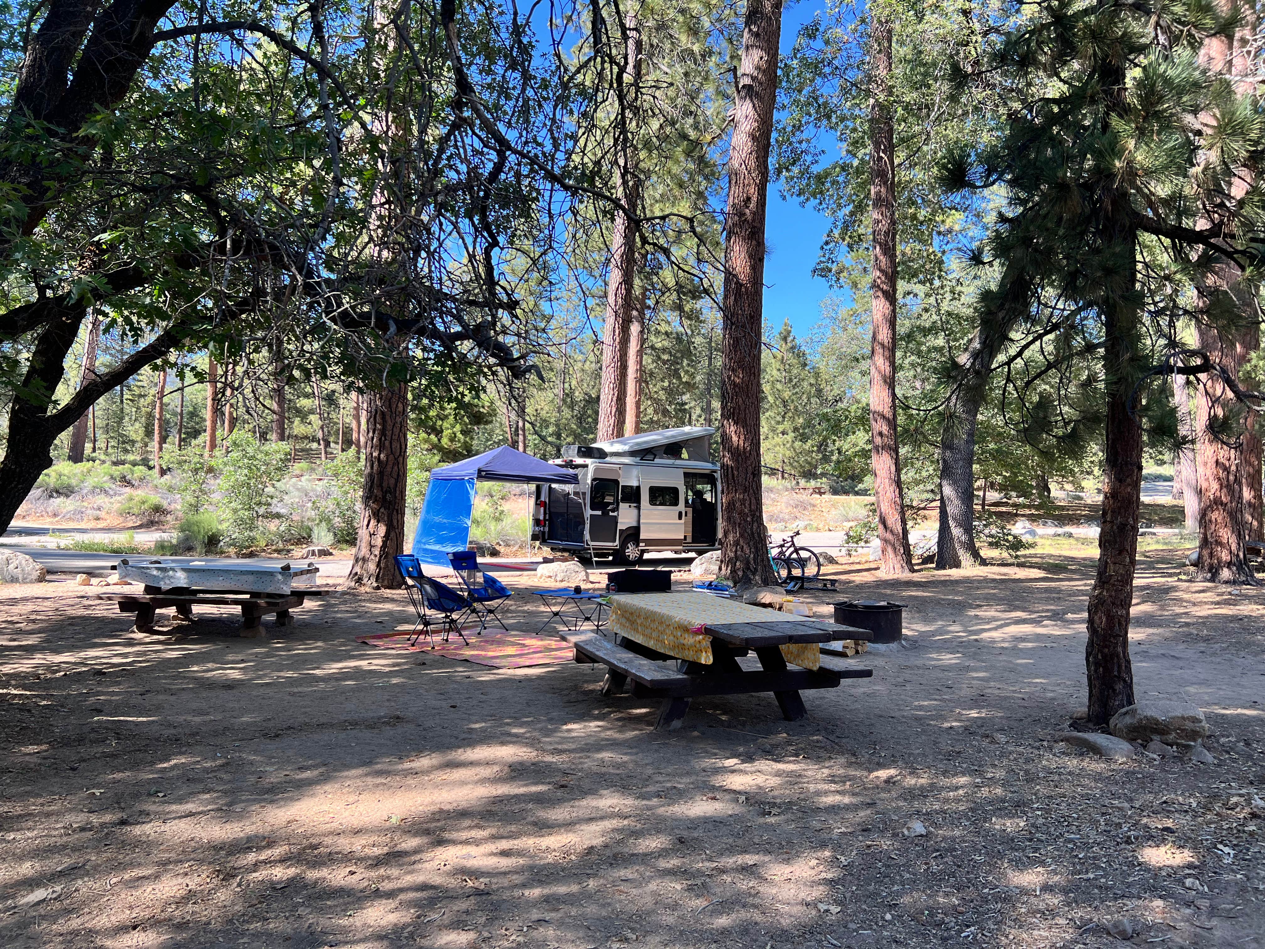 Andrew P.'s photo at San Gorgonio Campground near Big Bear Lake, CA