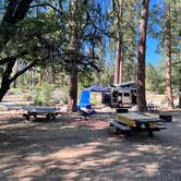 Review photo of San Gorgonio Campground by Andrew P., July 15, 2024