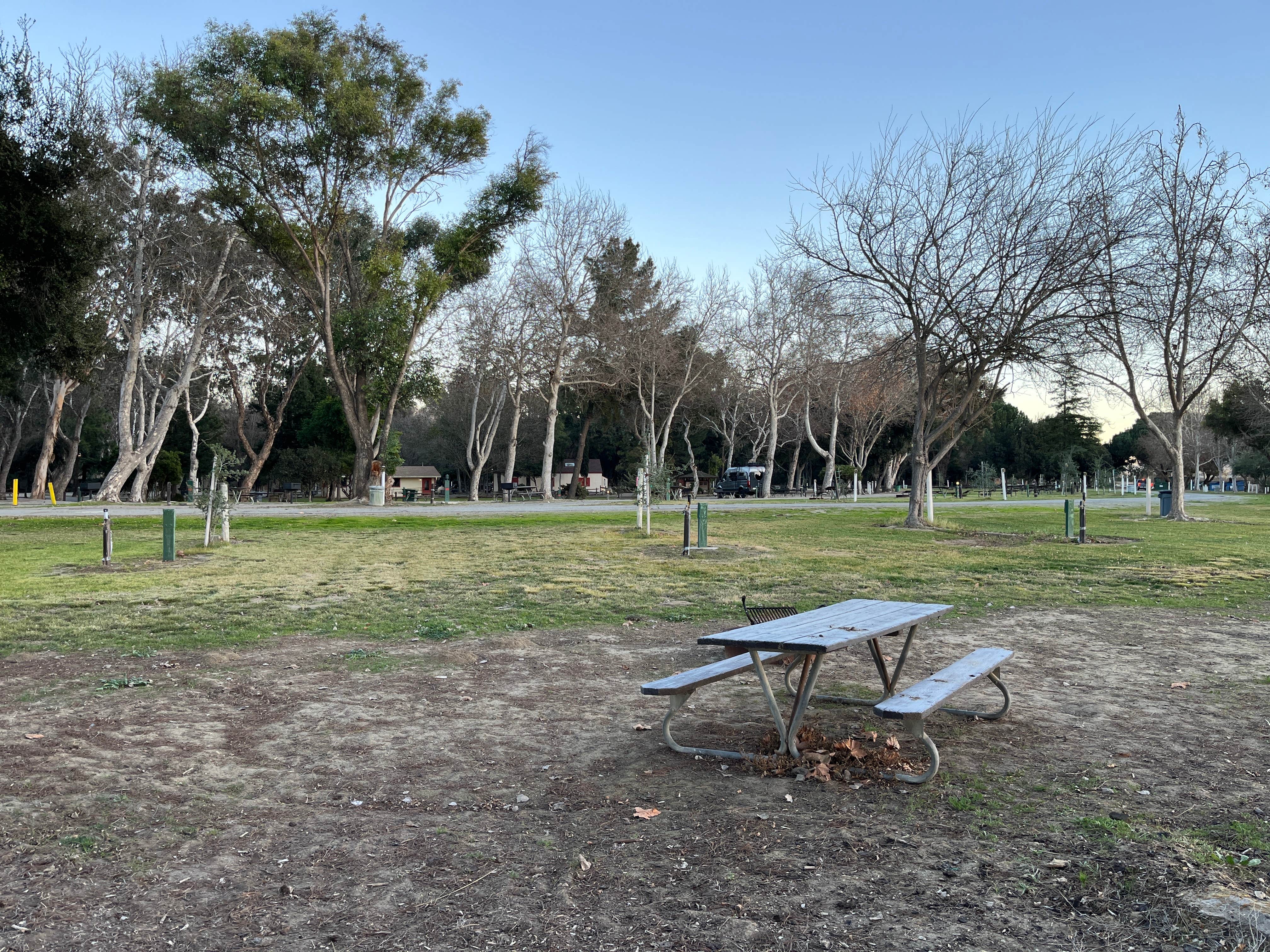 Camper-submitted photo at San Lorenzo Park near Pinnacles, CA