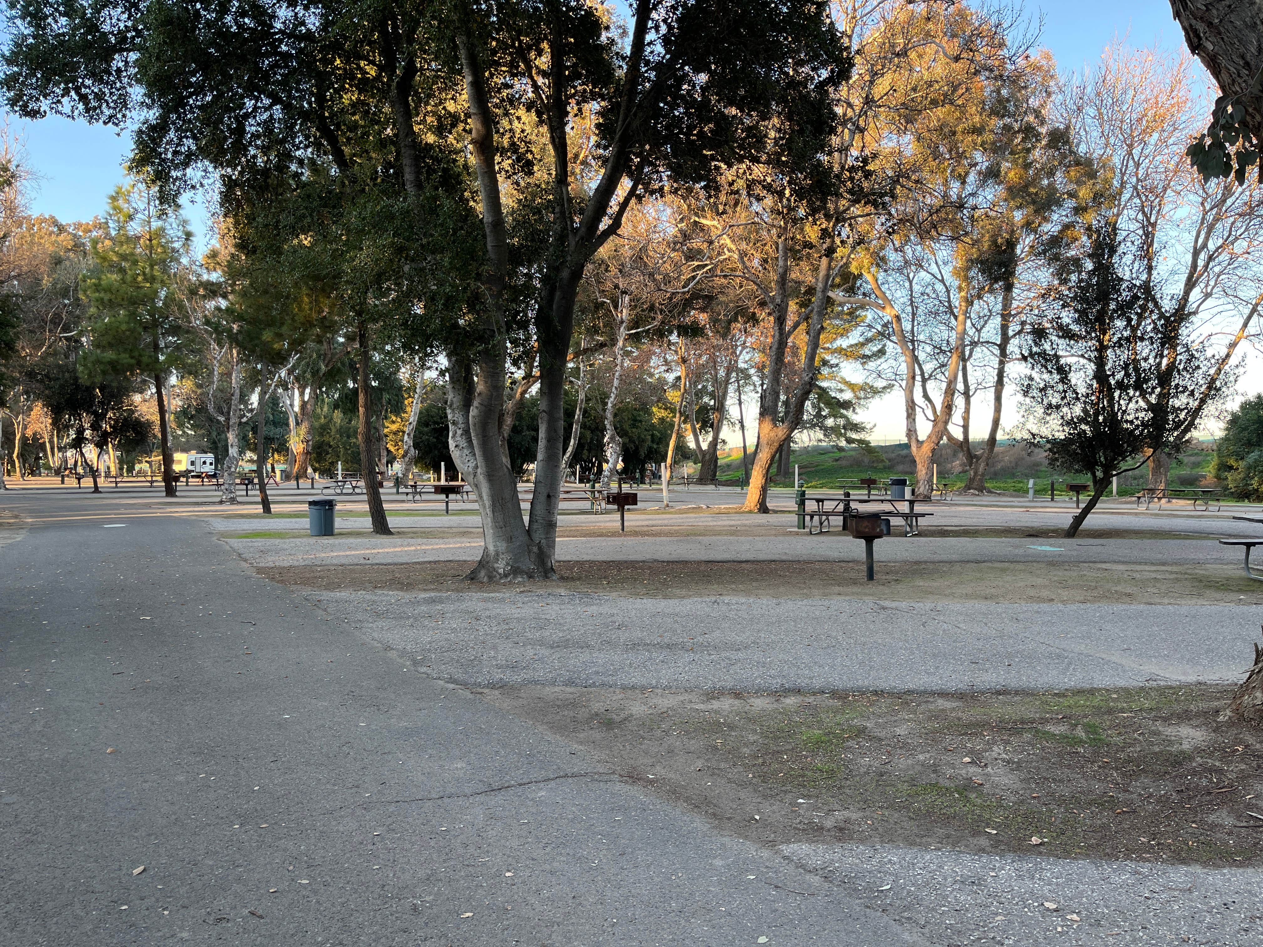 Camper submitted image from San Lorenzo Park - 3