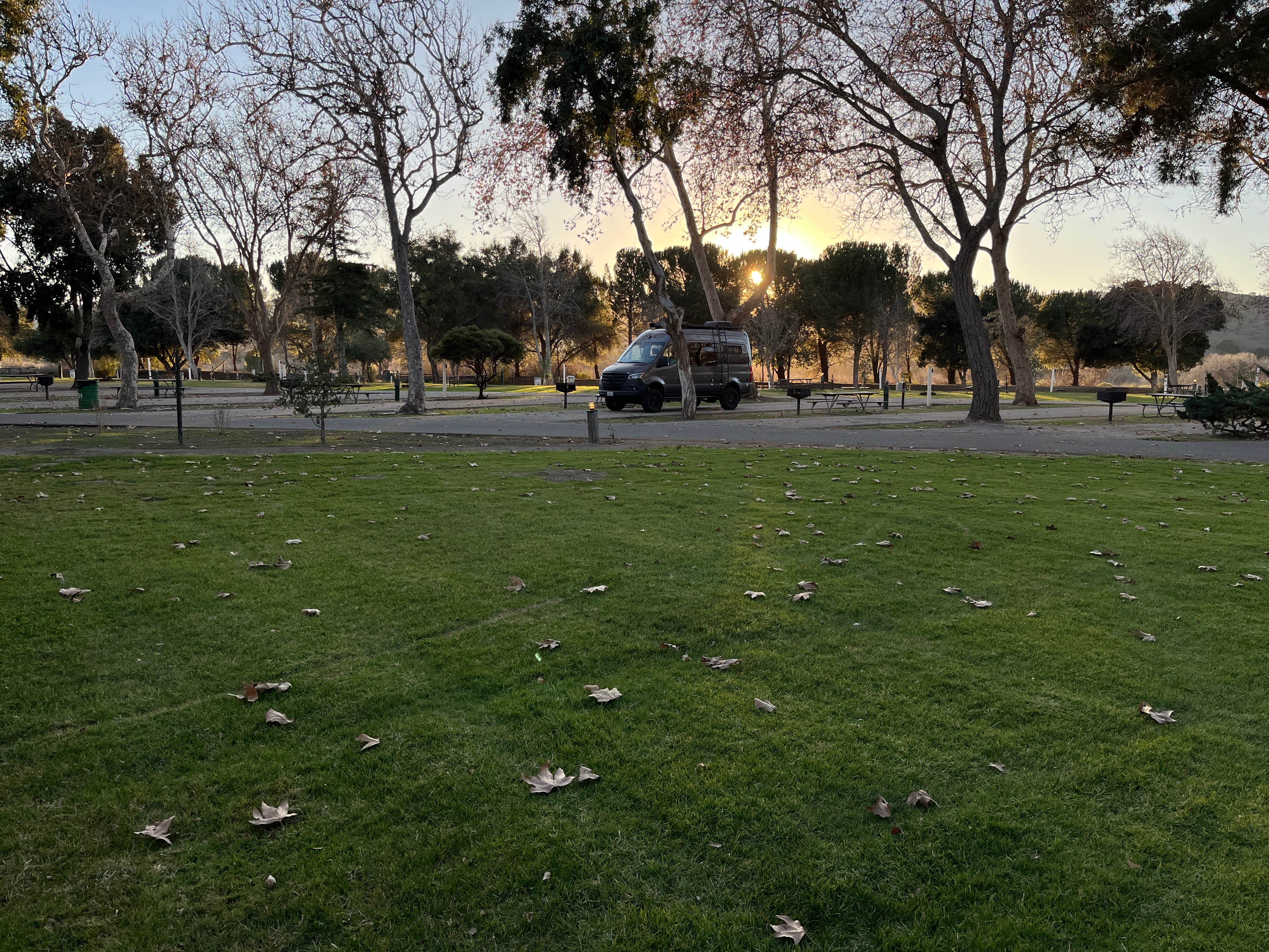 Camper-submitted photo at San Lorenzo Park near Pinnacles, CA
