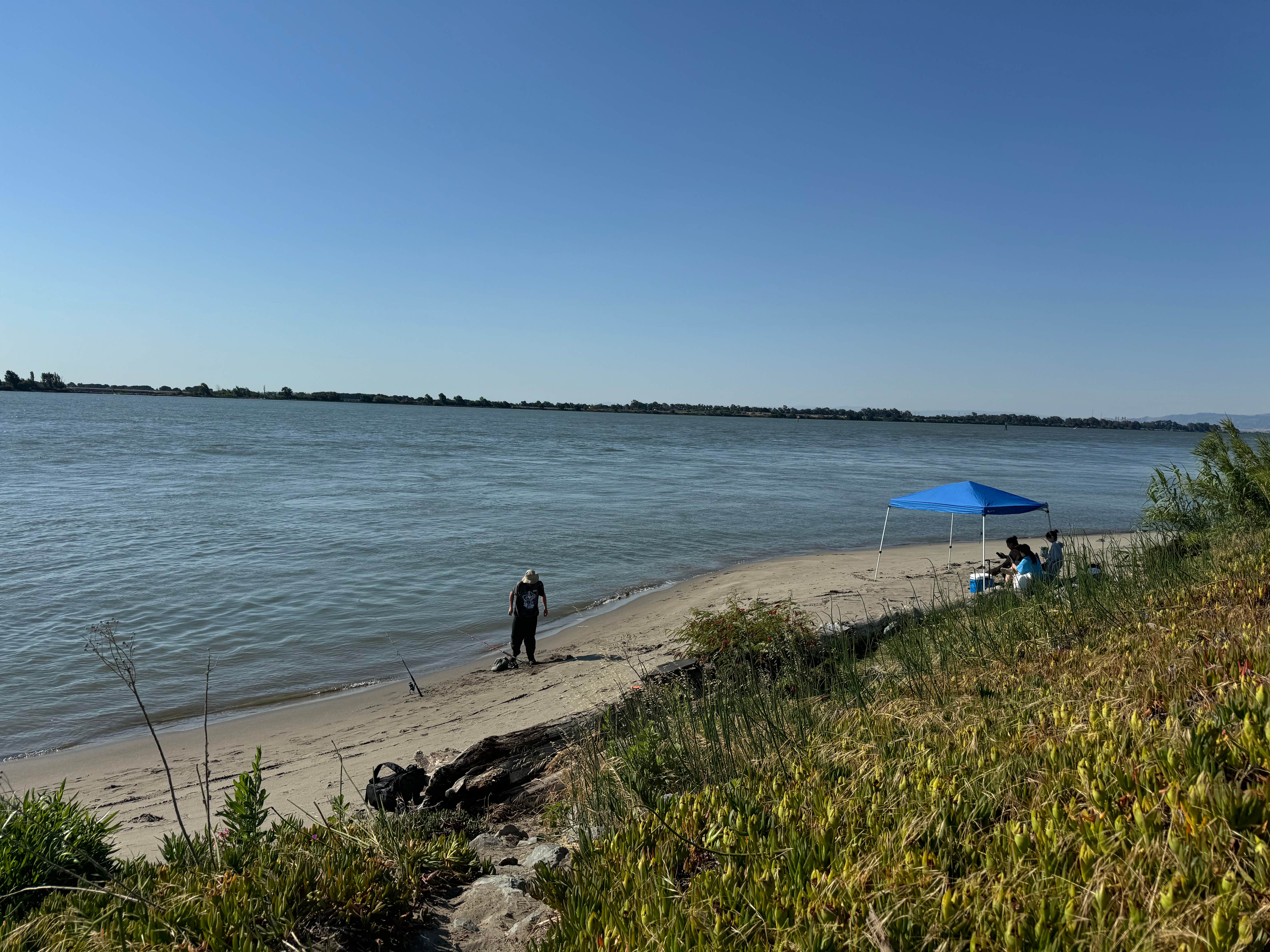 Camper-submitted photo at Sandy Beach County Park near Rio Vista, CA