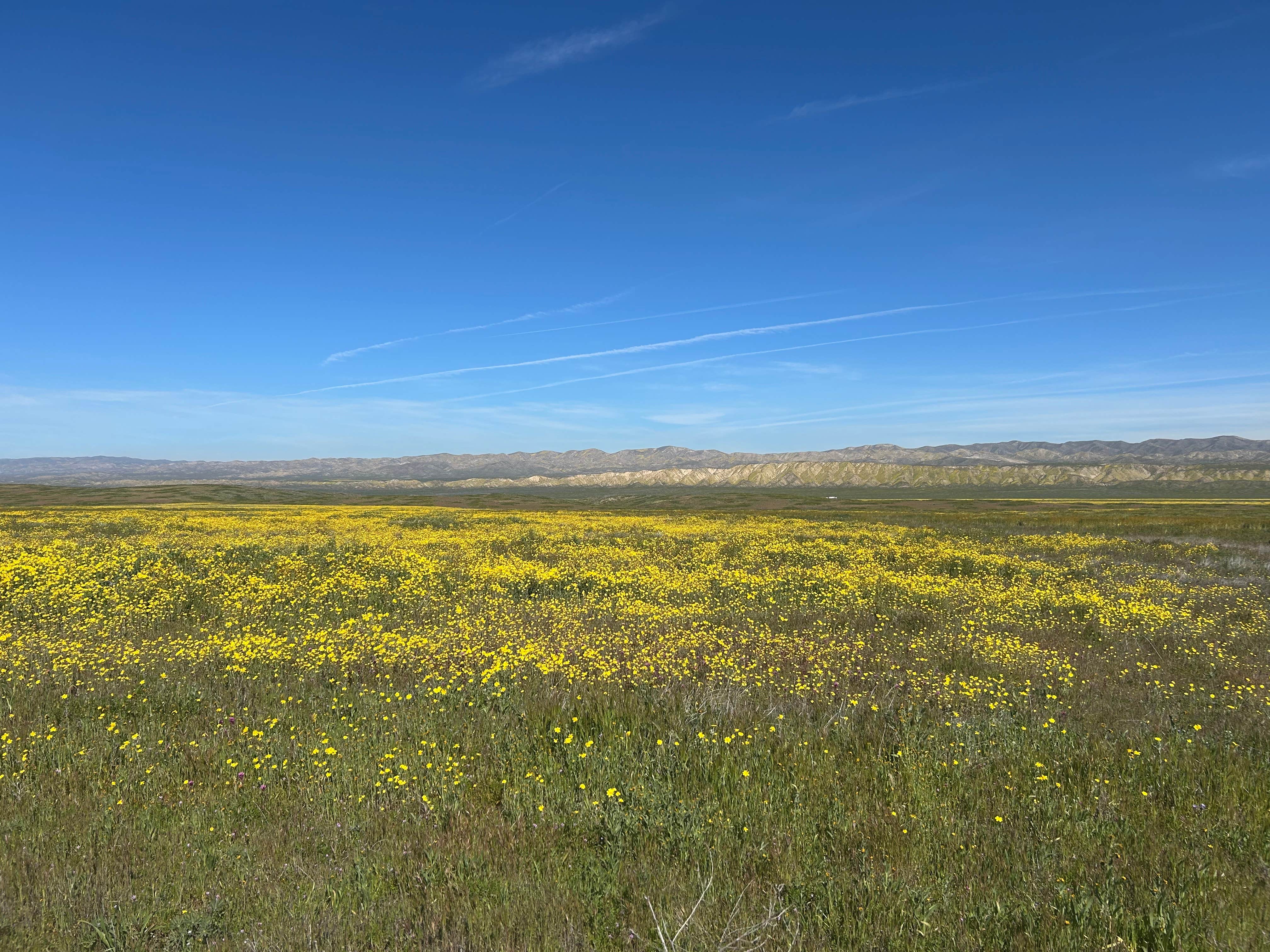 Camper-submitted photo at Selby Campground near Los Padres National Forest