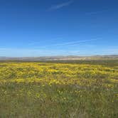 Review photo of Selby Campground by Ursula , February 25, 2026