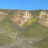 Review photo of Selby Campground by Ursula , February 25, 2026