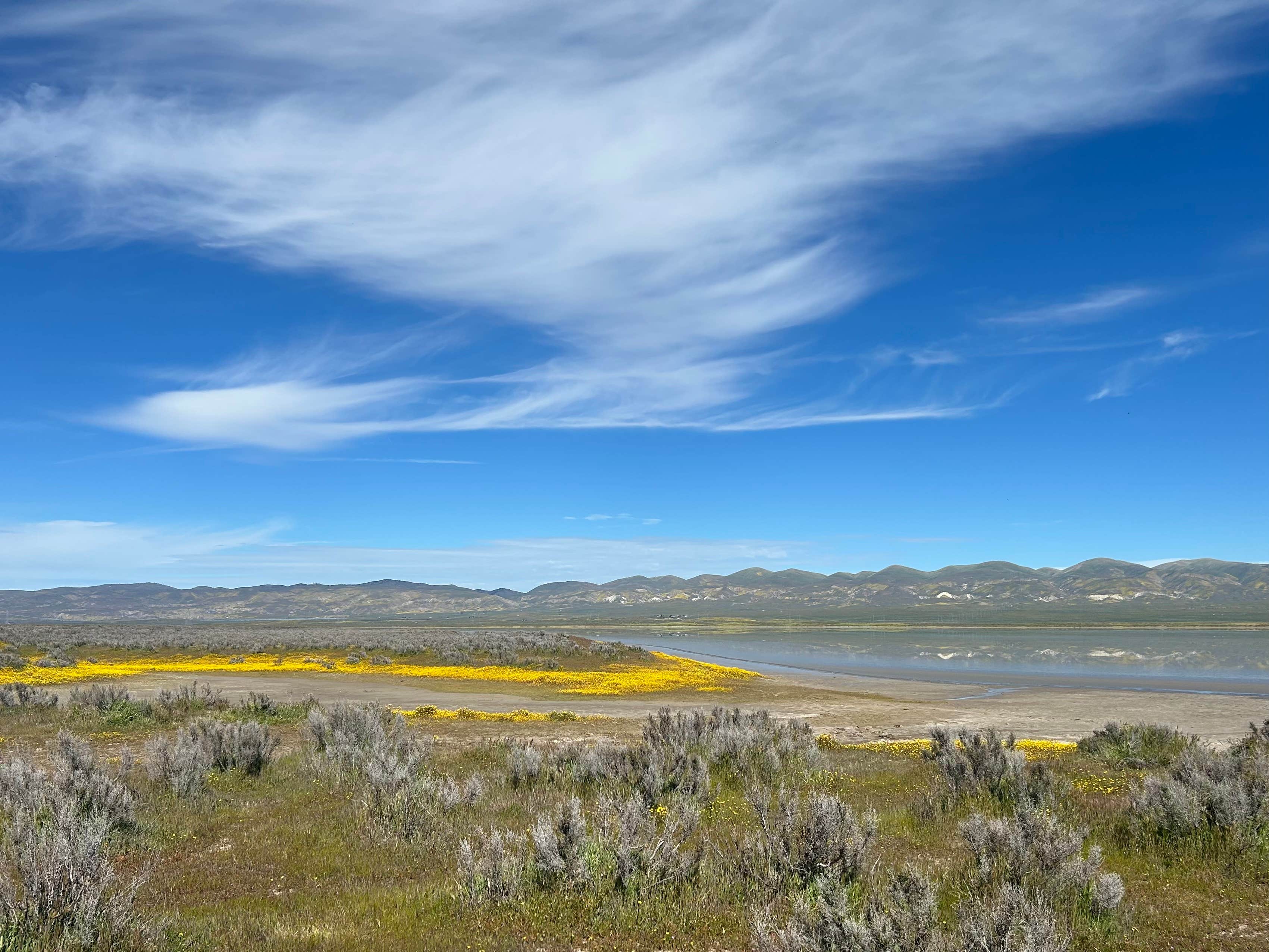 Camper-submitted photo at Selby Campground near Los Padres National Forest