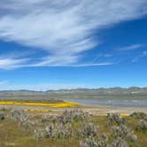 Review photo of Selby Campground by Ursula , February 25, 2026