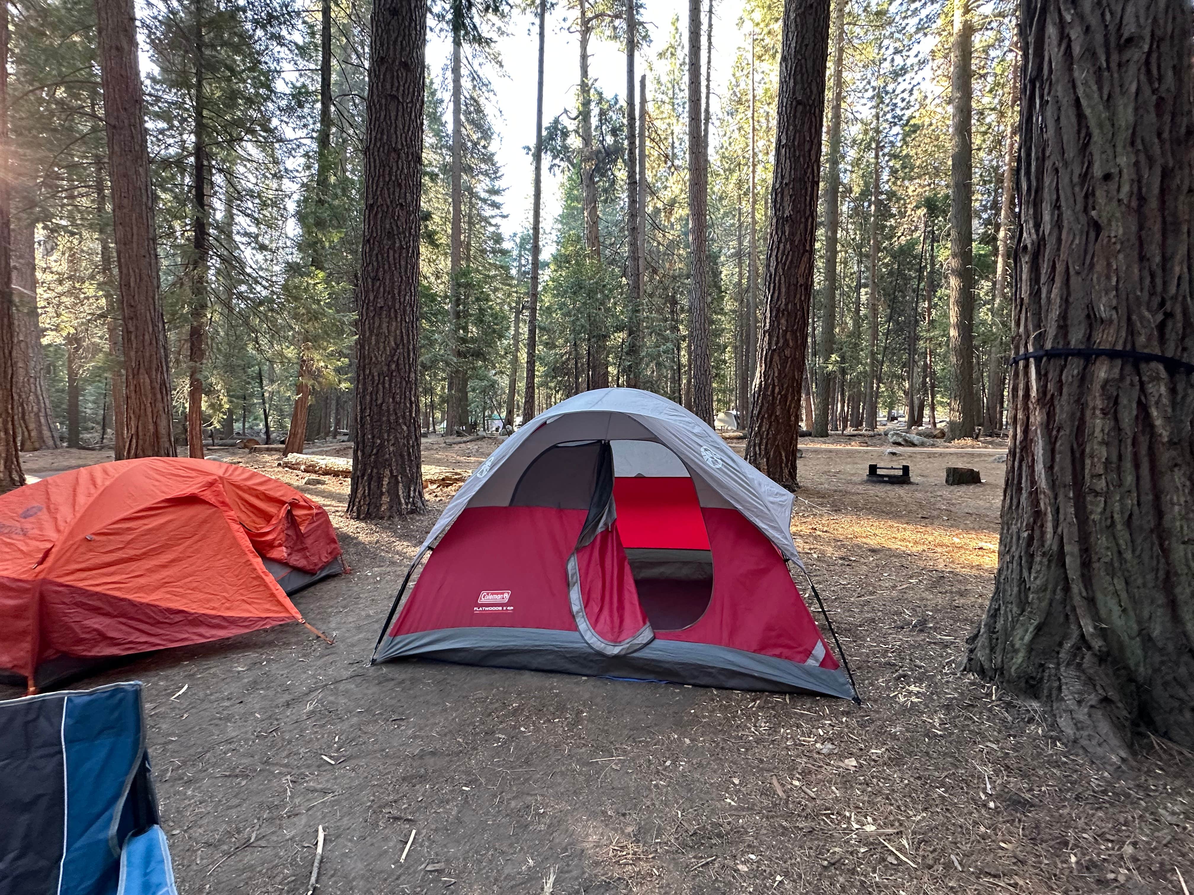 Camper-submitted photo at Sentinel Campground — Kings Canyon National Park near Independence, CA