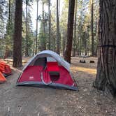 Review photo of Sentinel Campground — Kings Canyon National Park by Ian F., September 9, 2024