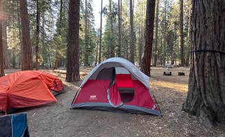 Ian F.'s photo at Sentinel Campground — Kings Canyon National Park near Sequoia & Kings Canyon National Parks