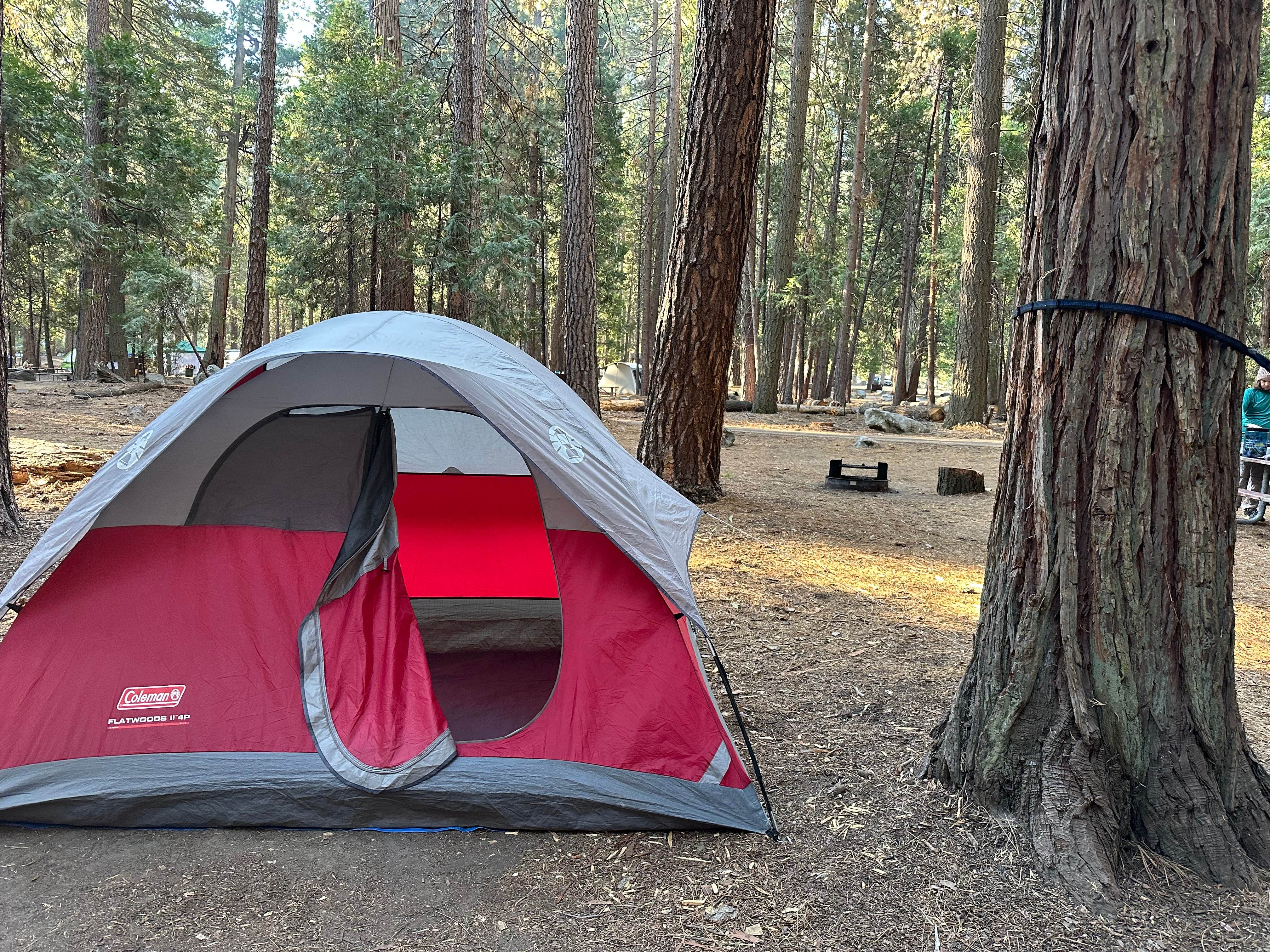 Camper-submitted photo at Sentinel Campground — Kings Canyon National Park near Independence, CA