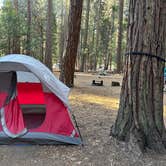 Review photo of Sentinel Campground — Kings Canyon National Park by Ian F., September 9, 2024