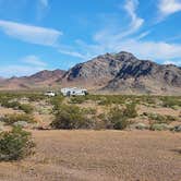 Review photo of Shoshone - Tecopa - Dispersed by Susan D., March 13, 2026