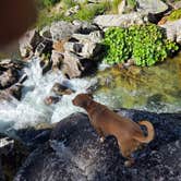 Review photo of Silver Fork Campground by Jackie M., September 3, 2026