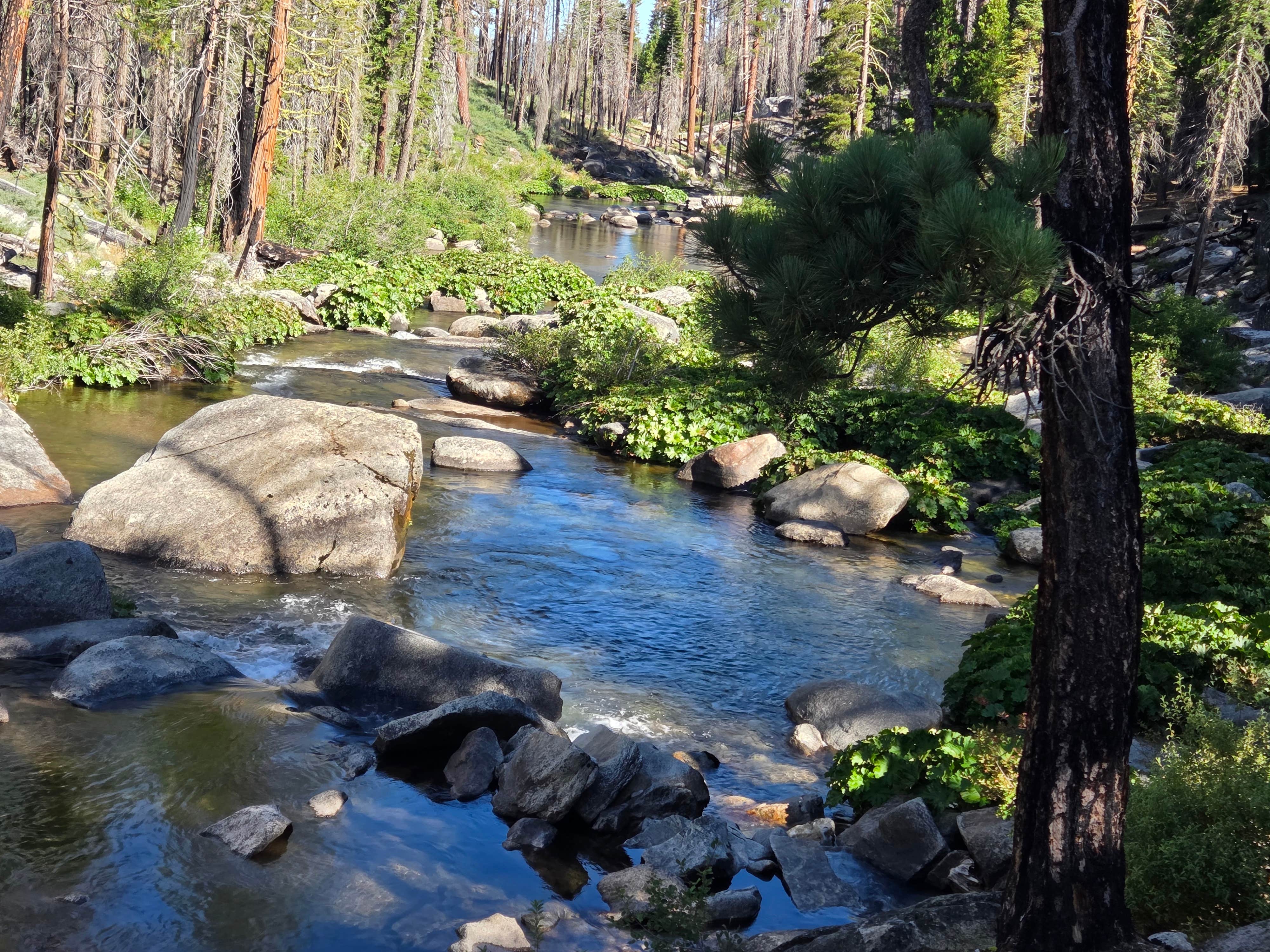 Camper-submitted photo at Silver Fork Campground near Eldorado National Forest