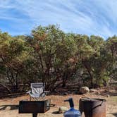 Review photo of Mesa Campground — Silverwood Lake State Recreation Area by Kimberly L., January 12, 2026