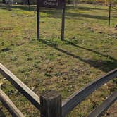 Review photo of Mesa Campground — Silverwood Lake State Recreation Area by Kimberly L., January 12, 2026