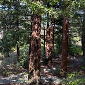 Review photo of Skyline Wilderness Park by Jamie G., April 15, 2025