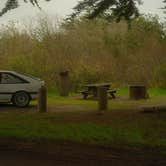 Review photo of Bodega Dunes Campground — Sonoma Coast State Park by Gabe Z., February 19, 2026