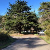Review photo of Bodega Dunes Campground — Sonoma Coast State Park by Sebastian D., November 21, 2025