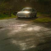 Review photo of Bodega Dunes Campground — Sonoma Coast State Park by Gabe Z., February 19, 2026