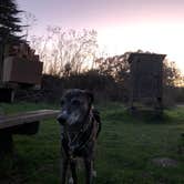 Review photo of Bodega Dunes Campground — Sonoma Coast State Park by Sebastian D., November 21, 2025