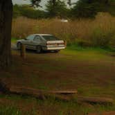 Review photo of Bodega Dunes Campground — Sonoma Coast State Park by Gabe Z., February 19, 2026
