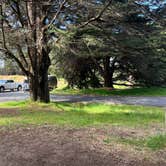 Review photo of Wright's Beach Campground — Sonoma Coast State Park by Alma L., May 28, 2024