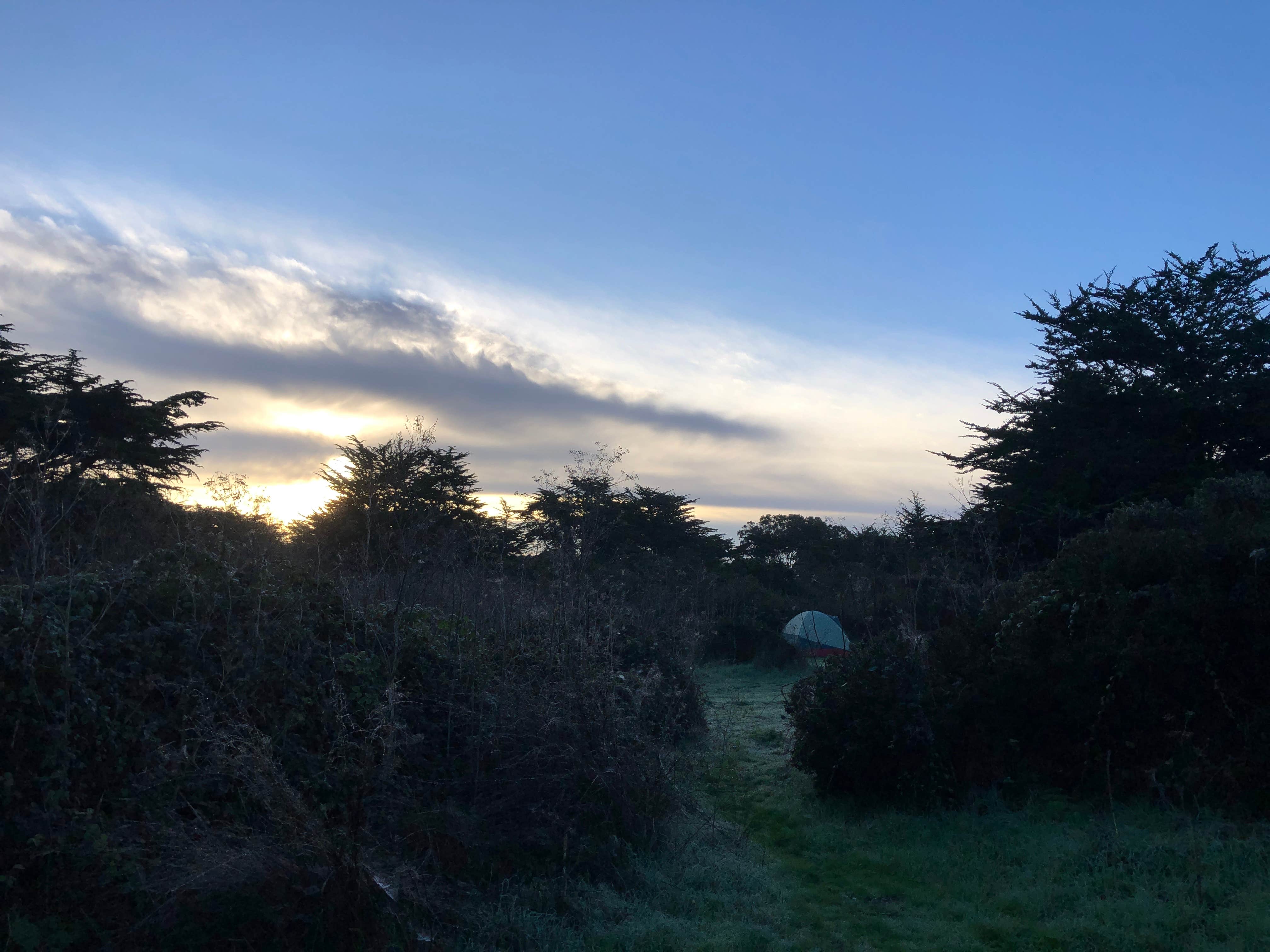 Sebastian D.'s photo at Bodega Dunes Campground — Sonoma Coast State Park near Bodega Bay, CA
