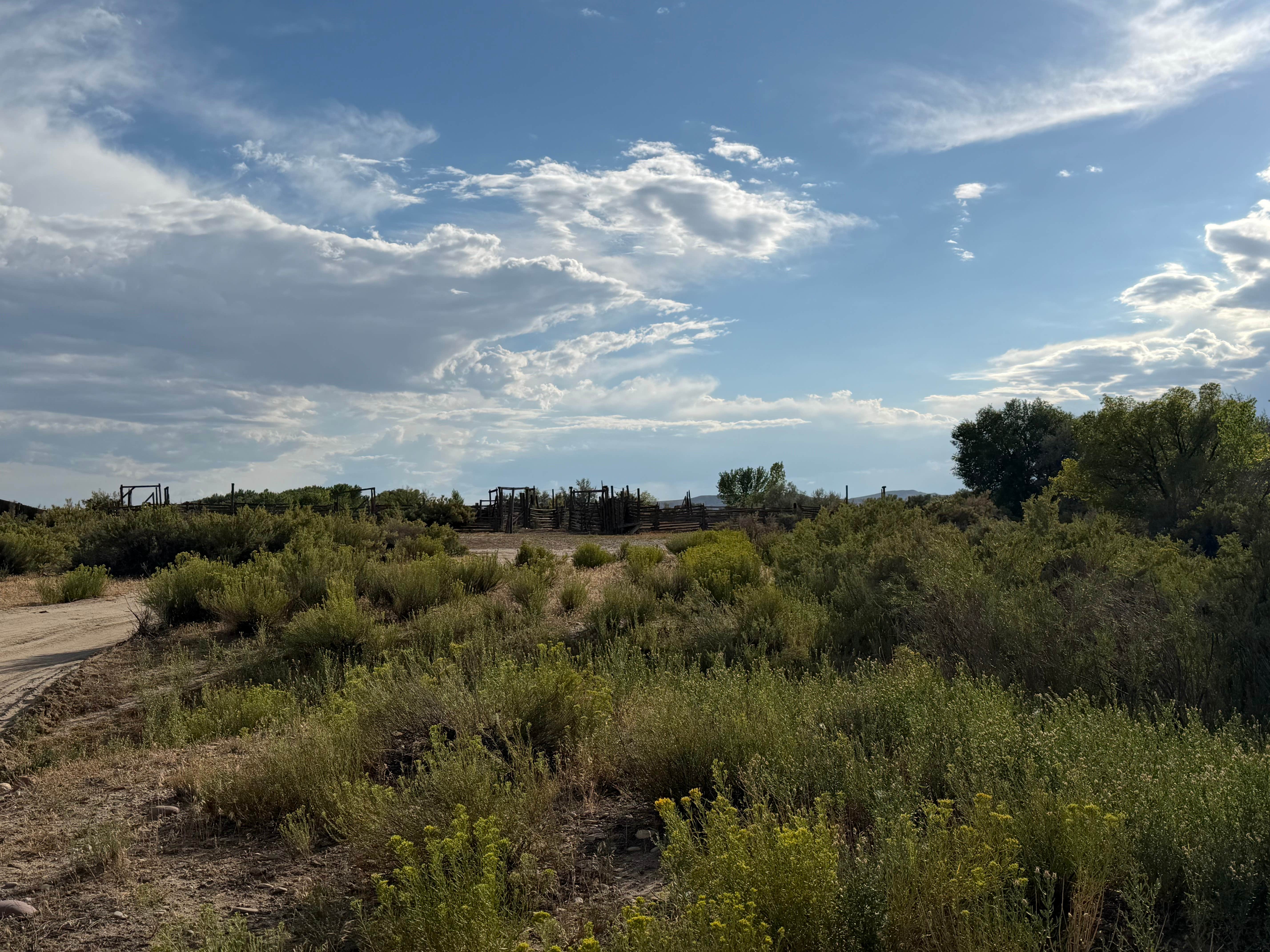 Camper-submitted photo at Standish-Hickory State Recreation Area Campground near Covelo, CA