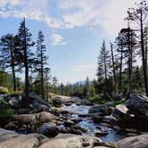 Review photo of Stanislaus River Campground by Julian R., December 5, 2023