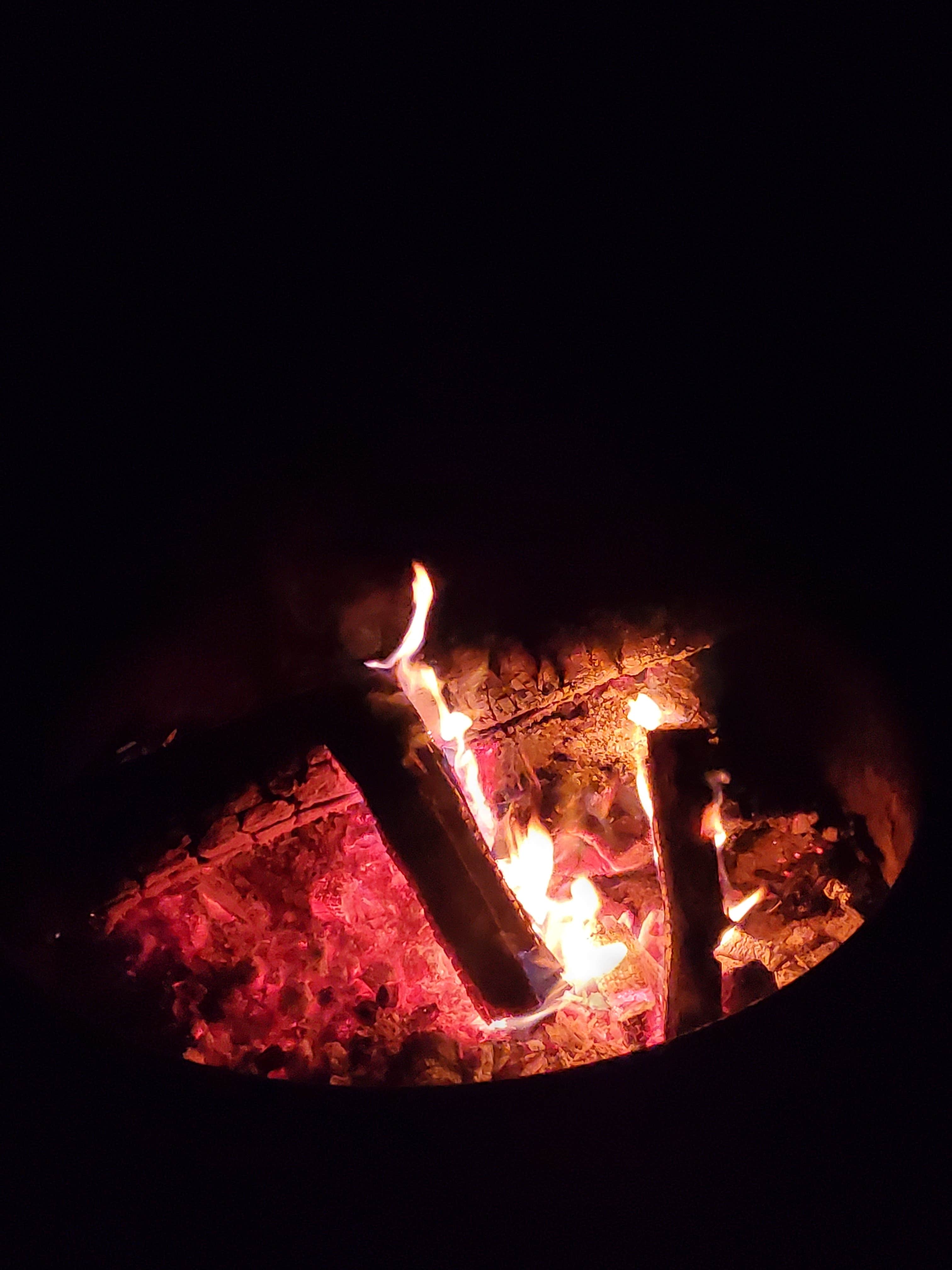Camper submitted image from Stanislaus River Campground - 3