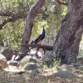 Review photo of Steckel Park by Vincent B., May 19, 2025