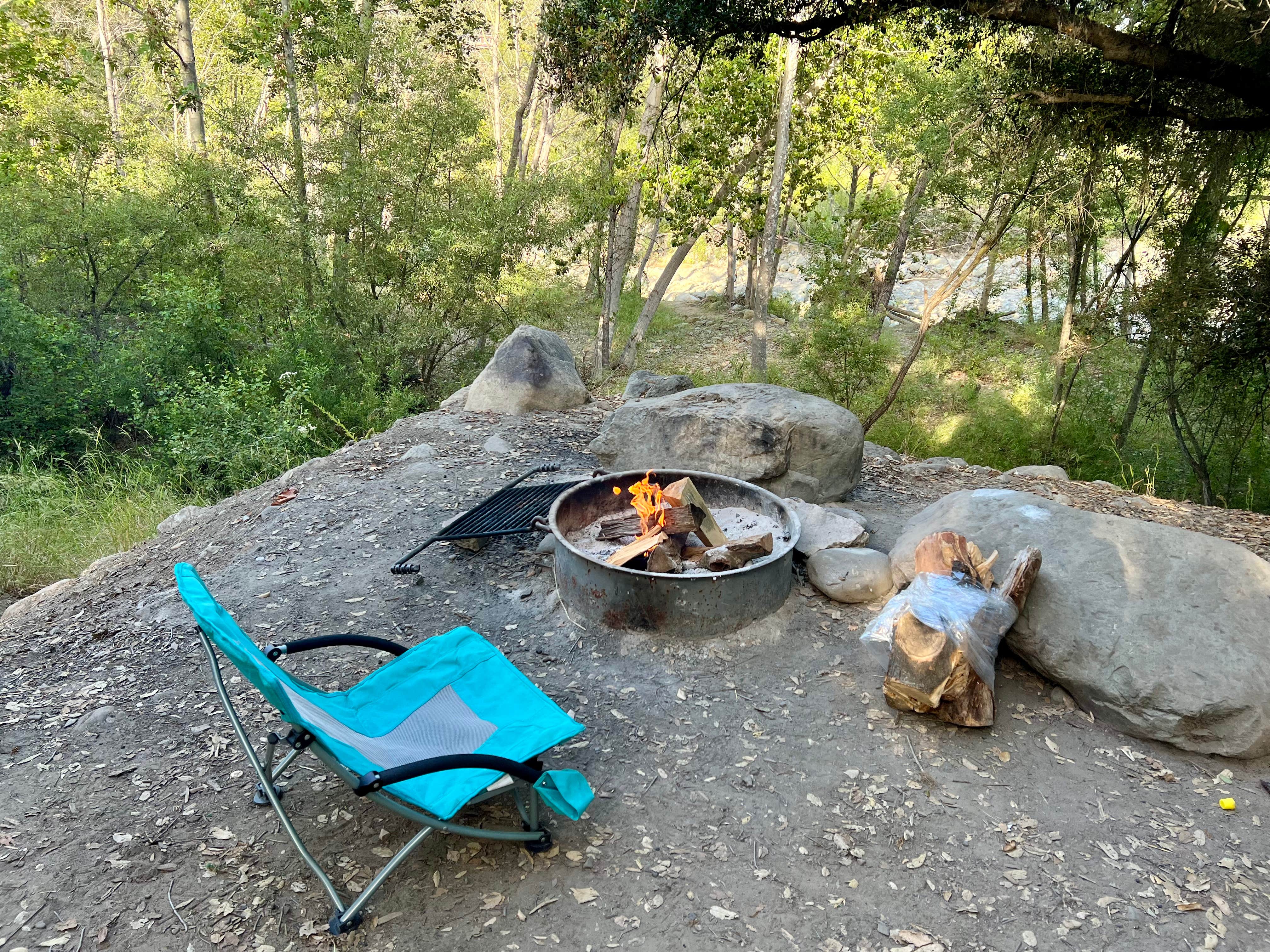 Camper submitted image from Steckel Park - 4