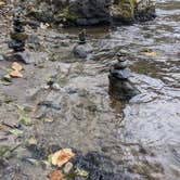 Review photo of Steel Bridge Campground by Sara S., April 27, 2026