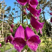 Review photo of Stillwater Cove Regional Park by Michelle W., June 17, 2024