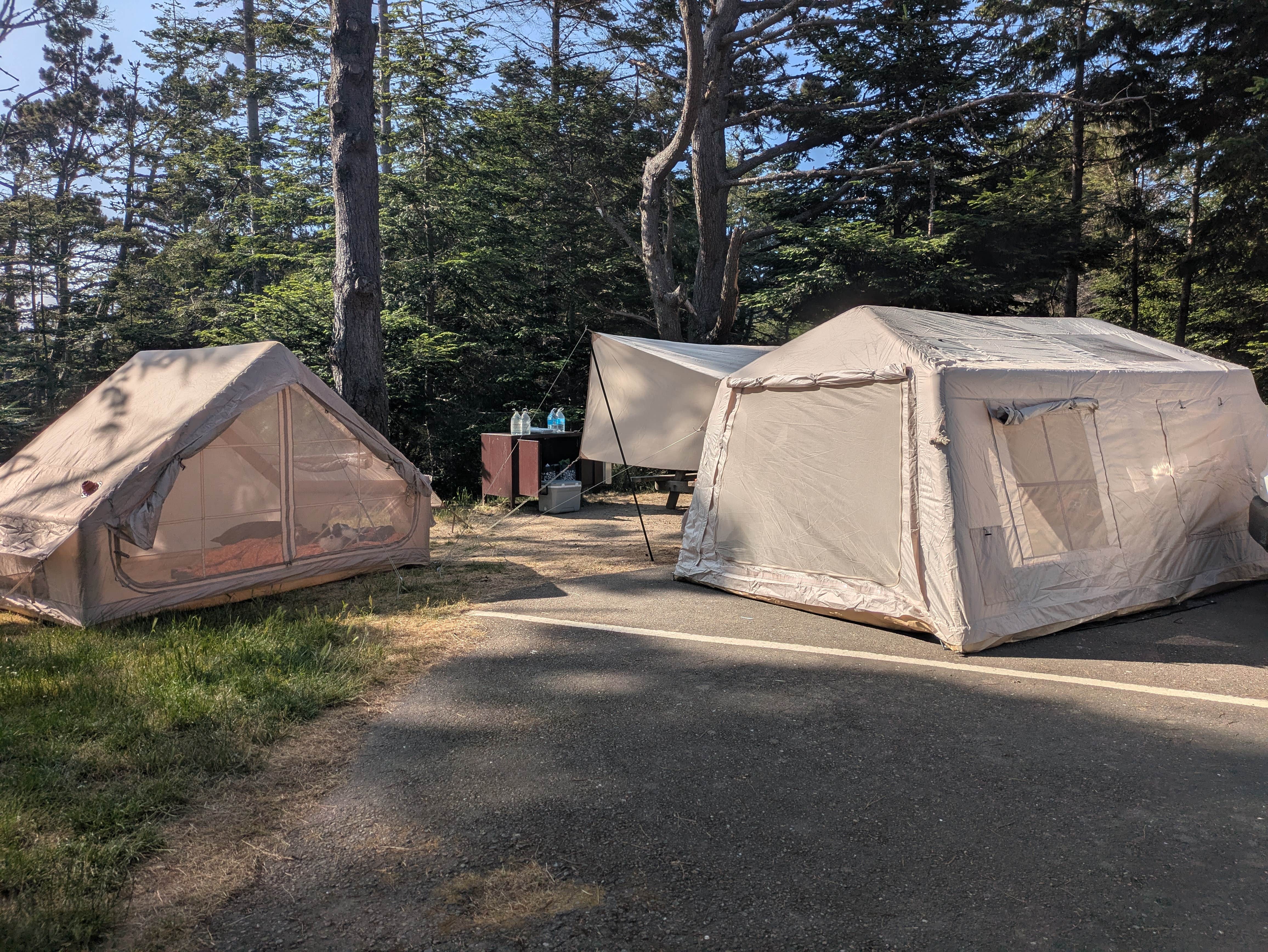 Camper-submitted photo at Stillwater Cove Regional Park near Cazadero, CA