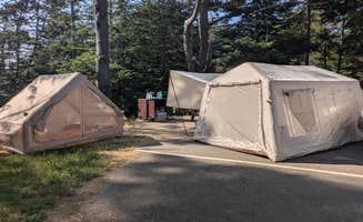 Holly G.'s photo at Stillwater Cove Regional Park near Gualala, CA