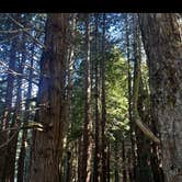 Review photo of Stillwater Cove Regional Park by Trevor M., March 5, 2025