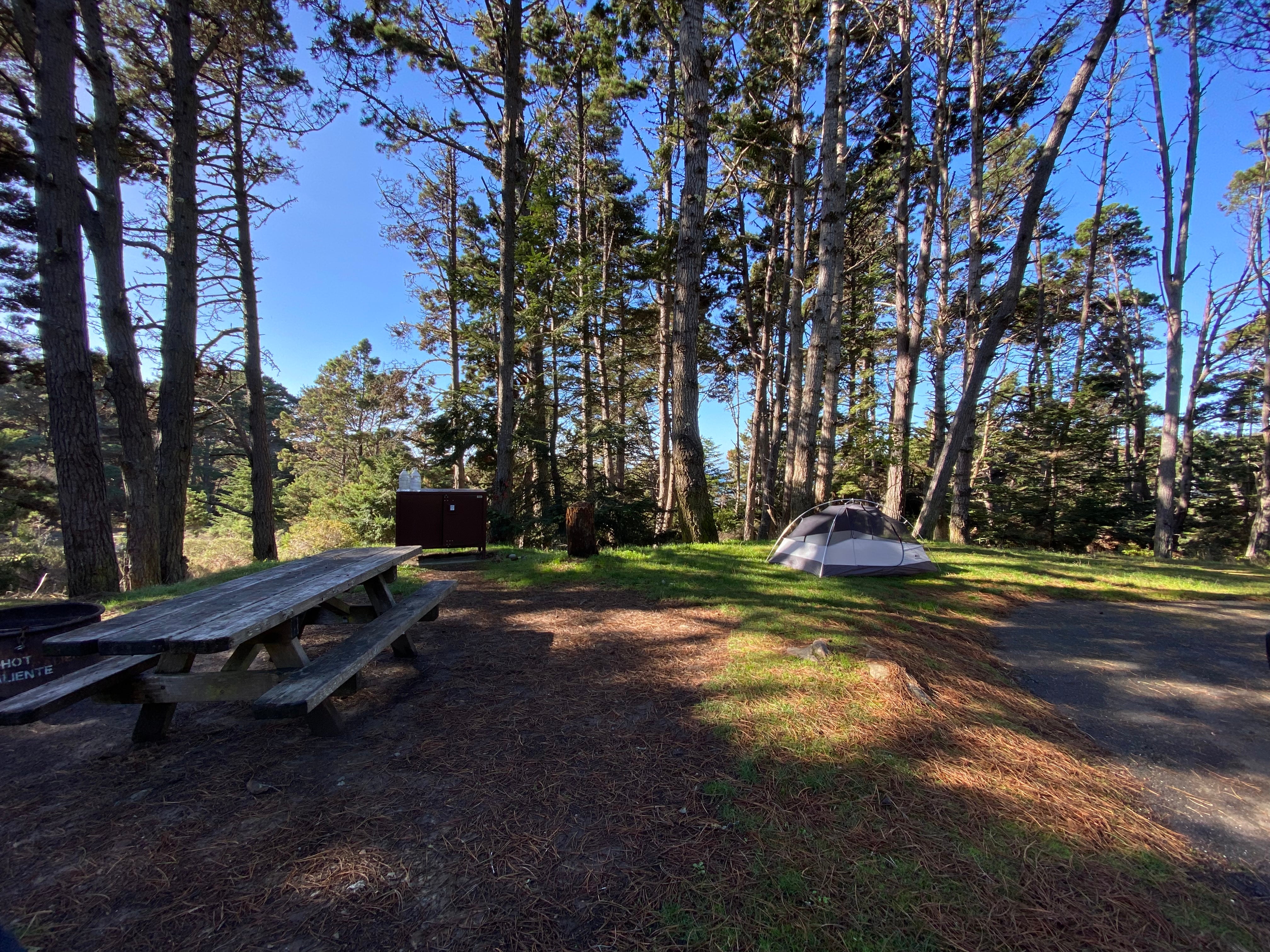 Camper submitted image from Stillwater Cove Regional Park - 4