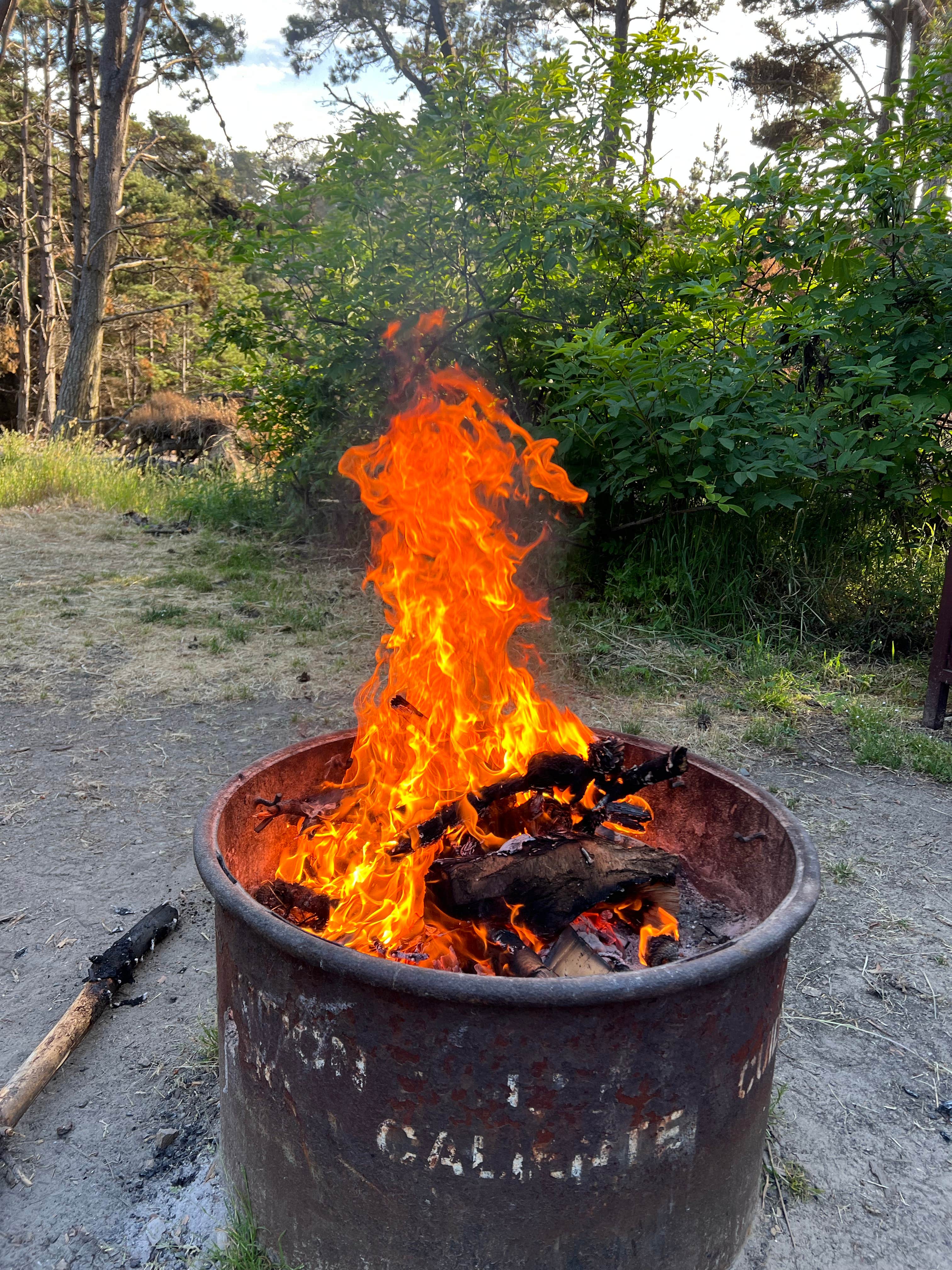 Camper submitted image from Stillwater Cove Regional Park - 1